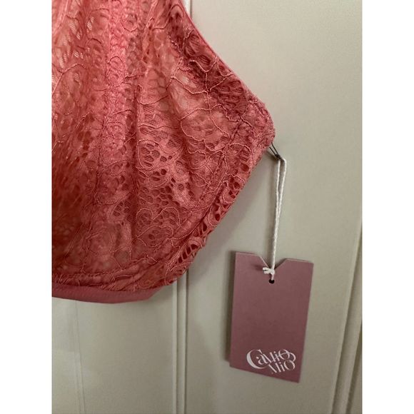 CAMIO‎ MIO Pale Punch All Over Lace Underwire Bra, US 34DDD - Picture 4 of 8